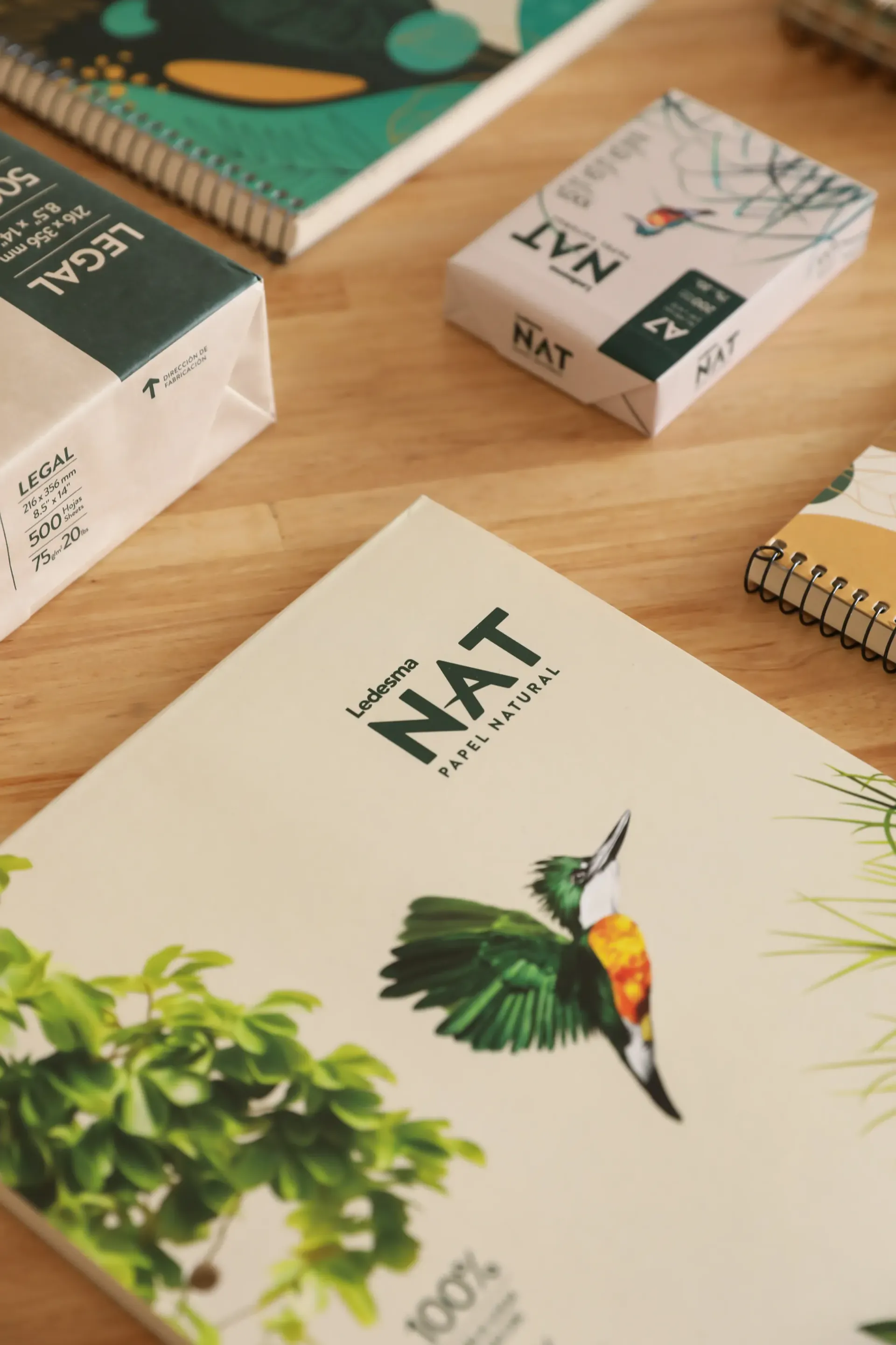 Papel, Cuadernos y Repuestos